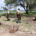 Se unen SEDUMA y estudiantes para reforestar laguna La Escondida en Reynosa