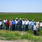 Supervisa secretario de Desarrollo Rural siembra de arroz