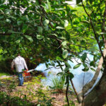 Ordena Erasmo intensificar acciones para prevenir contagios del dengue